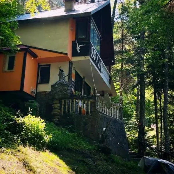 Villa Byala Luna - Guest House，位于Bistritsa的酒店