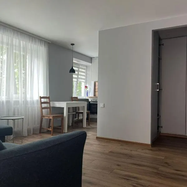 CityStayLV - Jelgava Center，位于叶尔加瓦的酒店