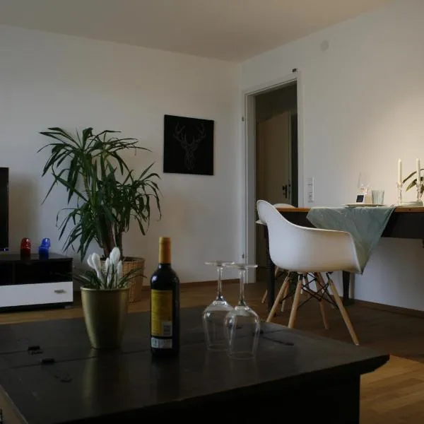 Ferienwohnung Weitblick，位于Freiamt的酒店