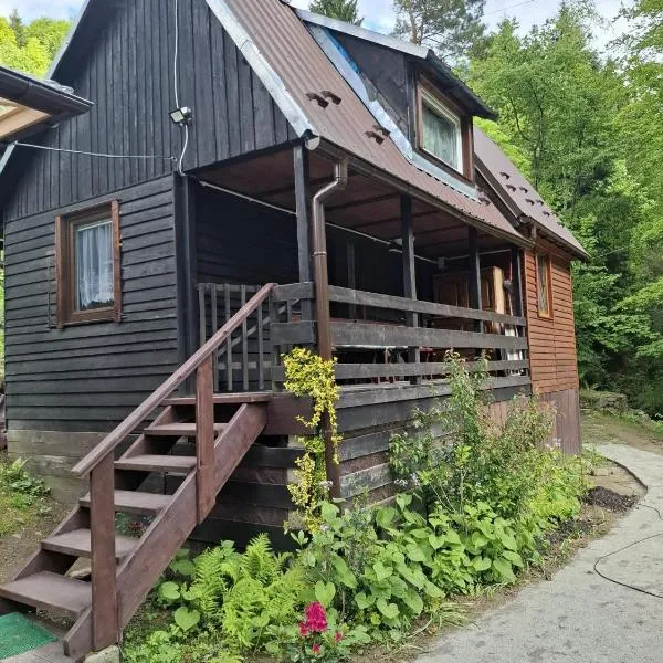 Duży drewniany domek nad rzeką, Obidza 381, Łącko，位于Obidza的酒店