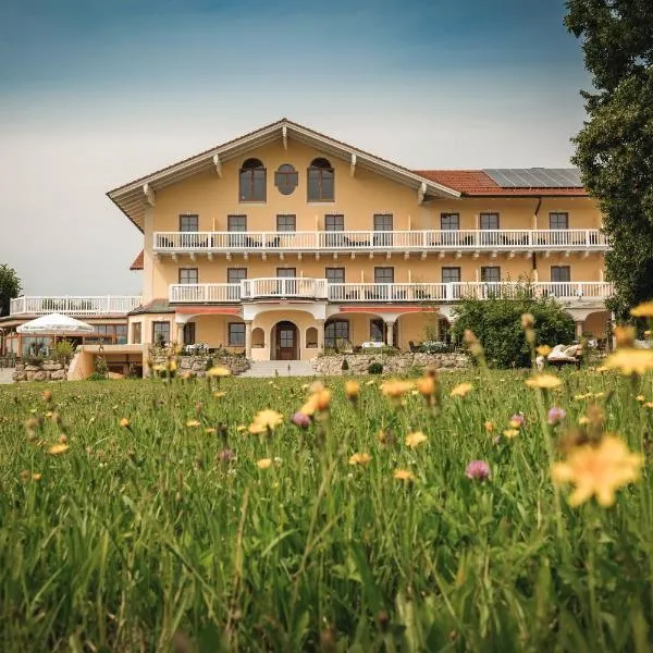 Wellness Natur Resort Gut Edermann，位于泰森多夫的酒店