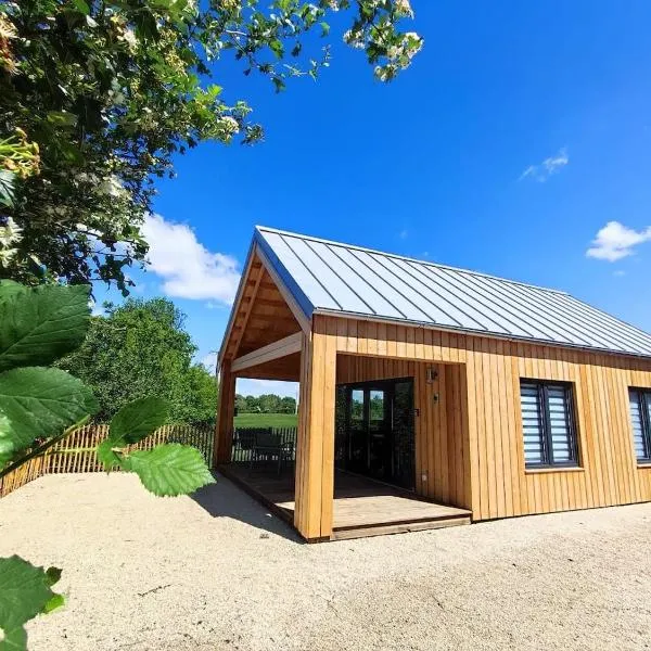 Le chalet de Joyce spa et piscine，位于Saint-Aubin-des-Préaux的酒店