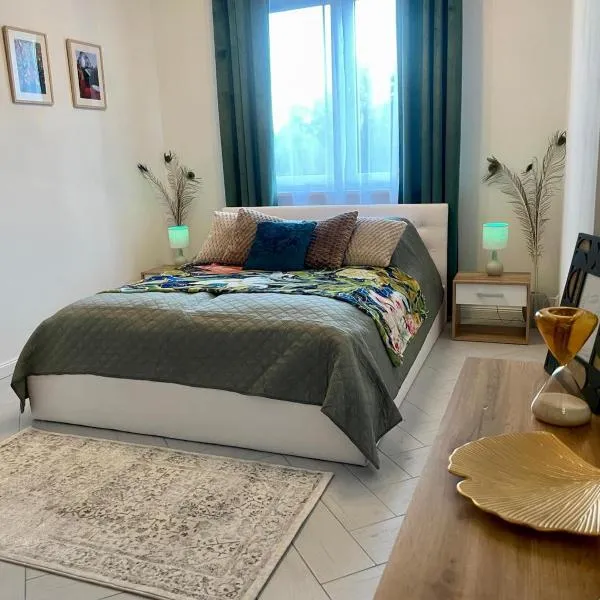 Mazury Szczytno - Centrum II - Apartamenty u Krzyżaka，位于什奇特诺的酒店