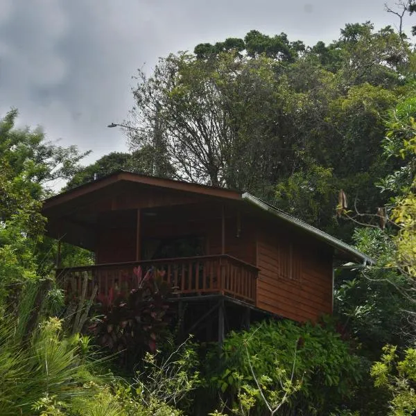 Cabañas de Chango，位于圣拉蒙的酒店