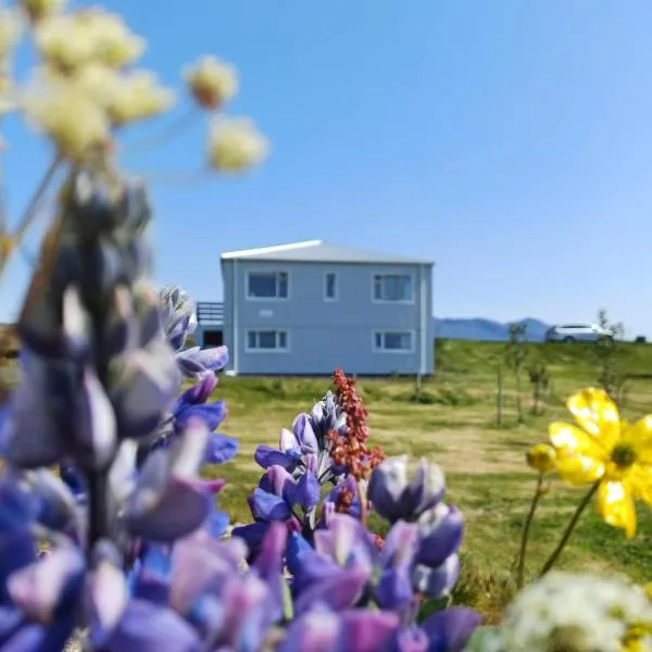 Selið Farm Stay - Guesthouse，位于Álftanes的酒店