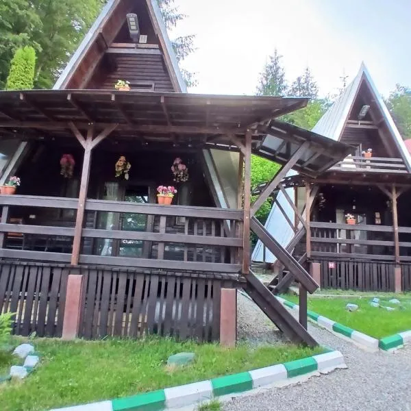 Chalet A Frame Sinaia，位于锡纳亚的酒店