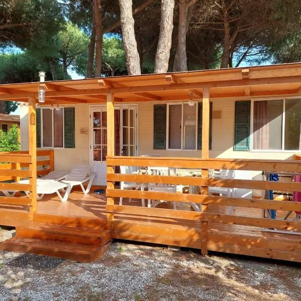 Italian Holidays Mobile house in Ameglia，位于阿梅利亚的酒店