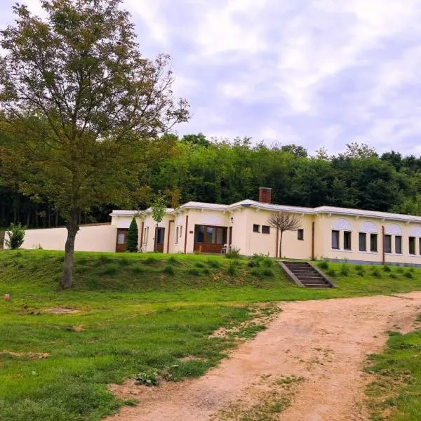 Elephant guesthouse，位于Somogyvámos的酒店