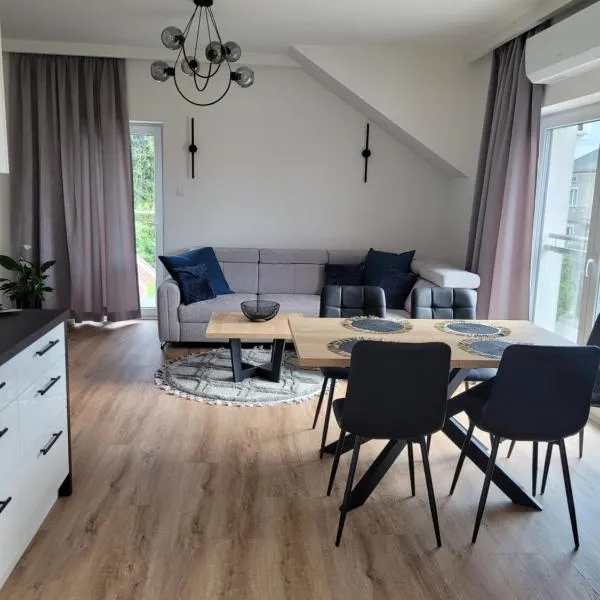Apartament 12，位于蒂科钦的酒店