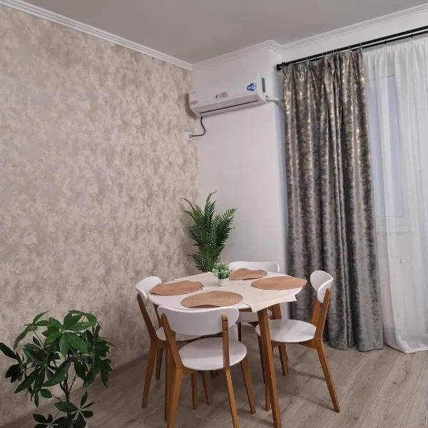 Silvana Apartament，位于Roşu的酒店