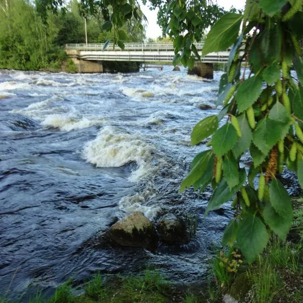威家假日中心酒店，位于劳卡的酒店