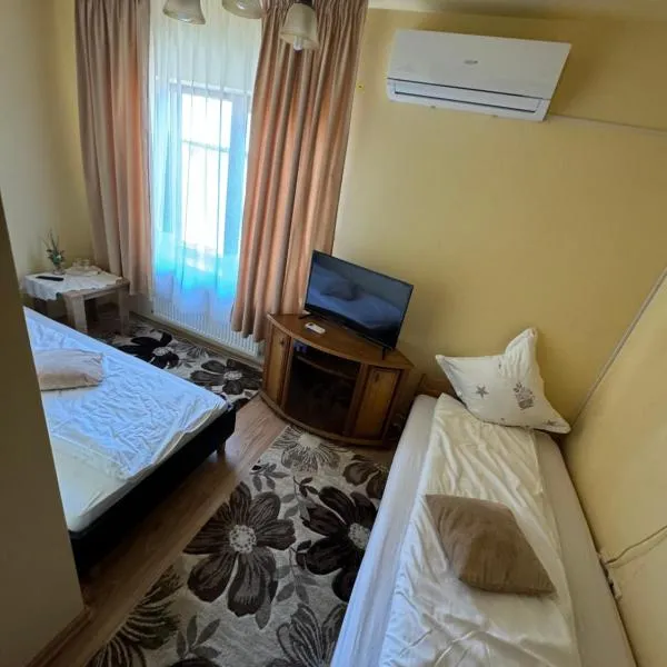 Hanul Ancutei 1，位于札勒乌的酒店