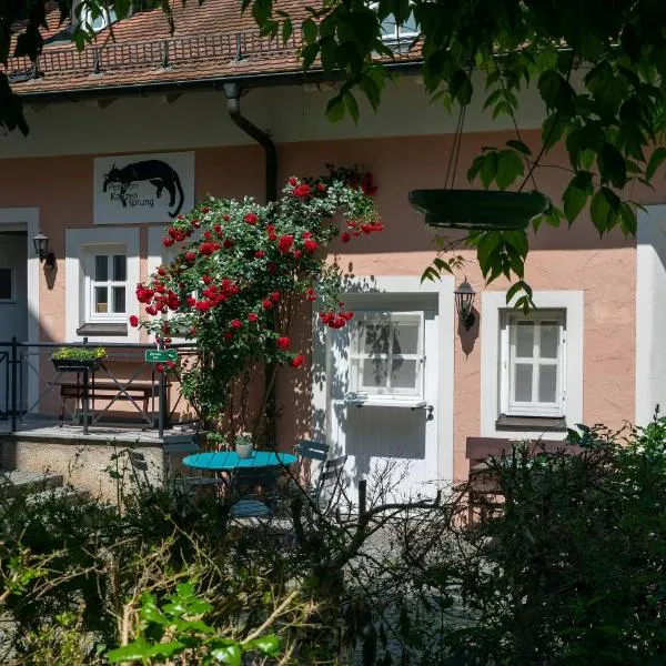 Pension Katzensprung，位于帕绍的酒店