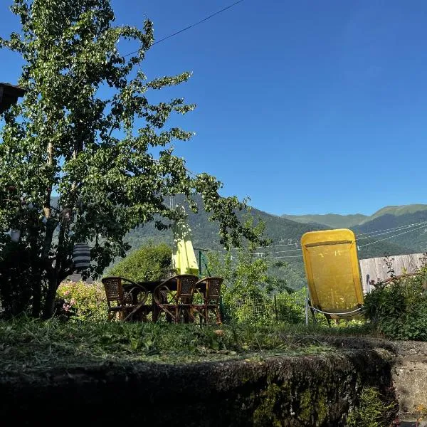 Maison de village avec vue sur les montagnes et jardin privatif，位于Montauban-de-Luchon的酒店