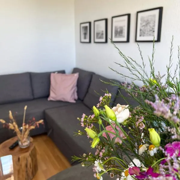 Apartment Waterkant am Deich mit Pool für 2-4 Personen，位于达默的酒店