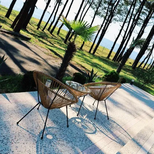 OXYGEN Shekvetili，位于谢赫维蒂利的酒店