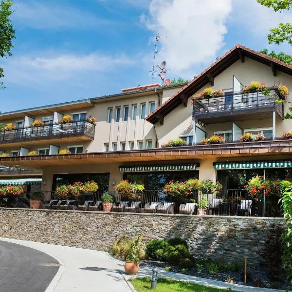 Hôtel Restaurant Logis Auberge Sundgovienne，位于Carspach的酒店