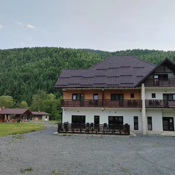 Pensiunea Armonia Albac，位于阿尔巴克的酒店