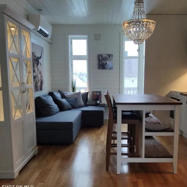 Charming central apartment，位于纳尔维克的酒店