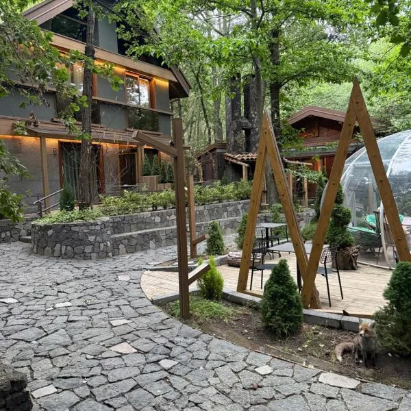 Locanda Milia Etna，位于拉加尔纳的酒店