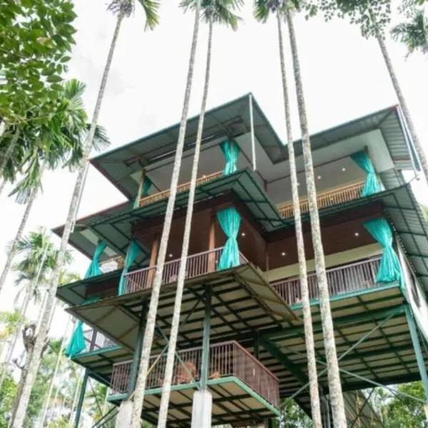 GreensVista Wayanad AC Pillar Homestay near Natural Stream and Amazing View，位于Panamaram的酒店