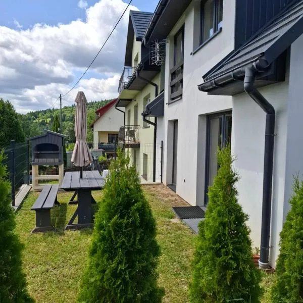 Ważka - dom do wynajęcia，位于Krzeszów的酒店