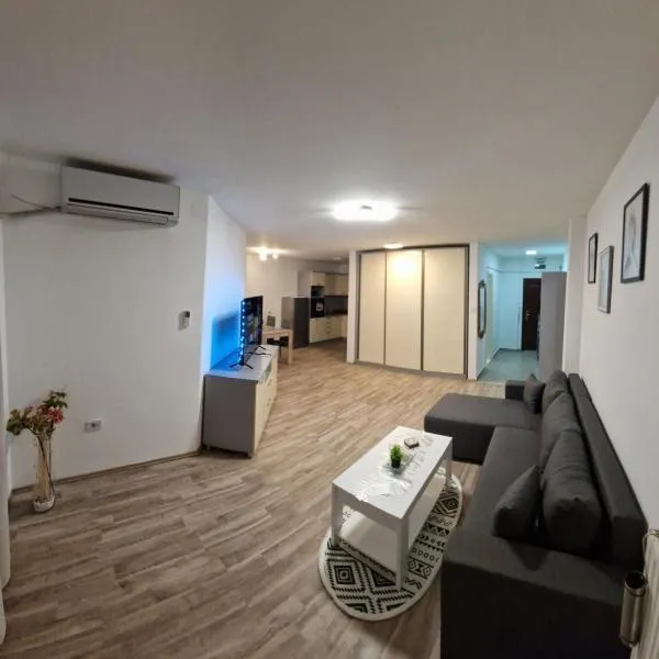 Luxury apartment in the city center，位于扎耶查尔的酒店