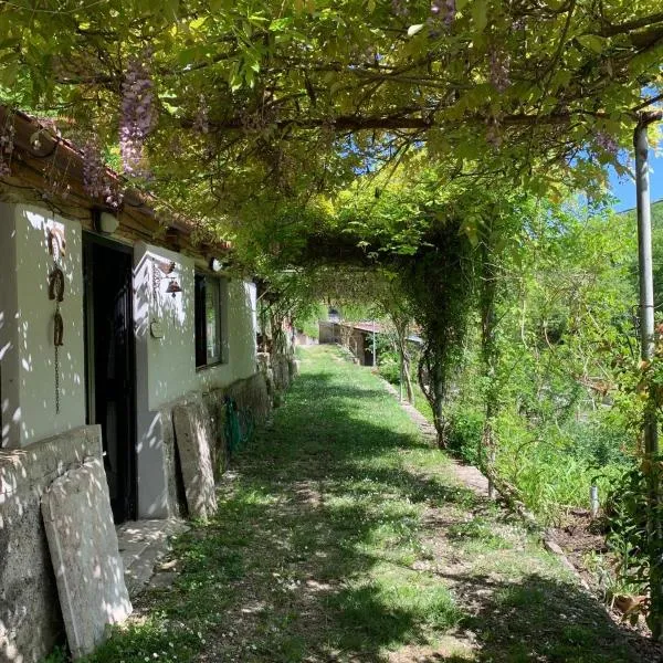 Tra Fiori e Antichità，位于Cerchiara的酒店