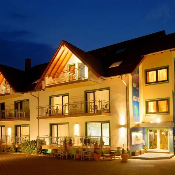 济耶尔鲁酒店，位于Schaafheim的酒店