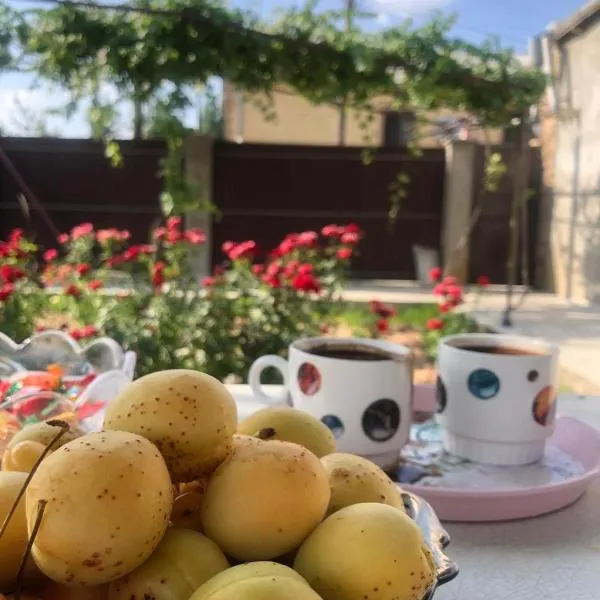 Veni Vedi，位于Vedi的酒店