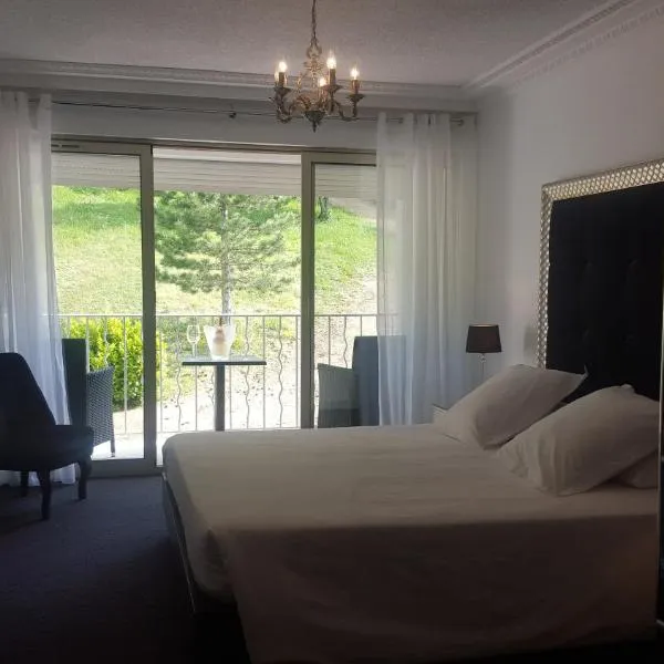 两只狮子酒店，位于韦尔东的圣克鲁瓦的酒店