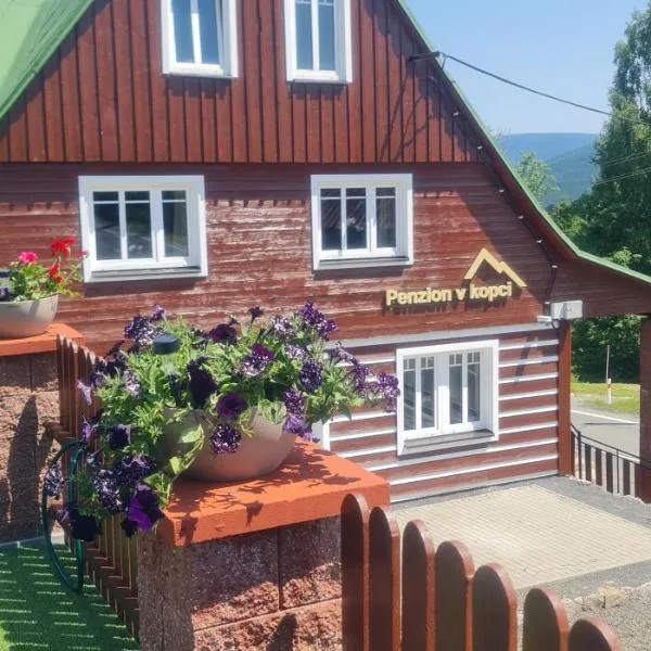 Penzion V Kopci，位于科热诺夫的酒店