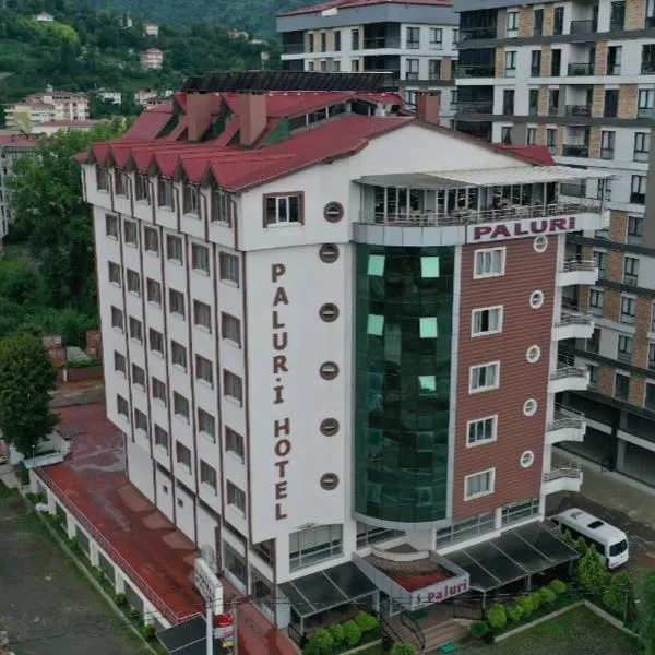 Paluri Otel Hopa，位于霍帕的酒店