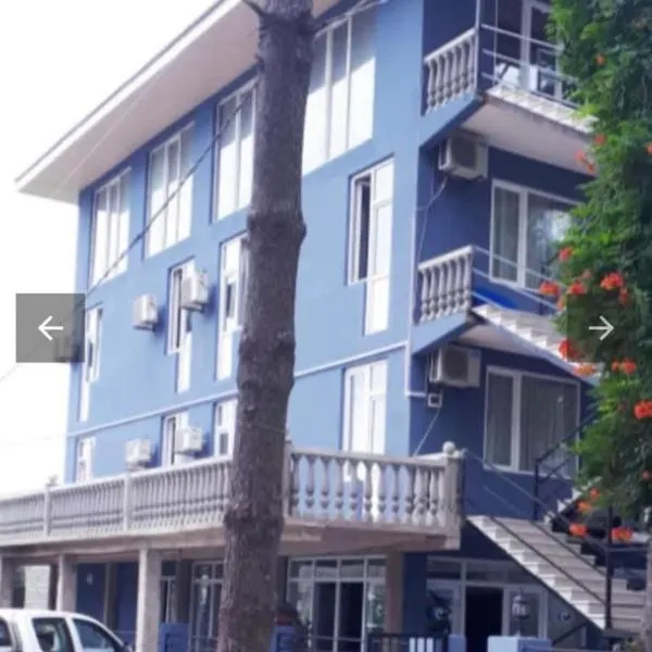 Hotel central grigoleti，位于格里戈莱蒂的酒店