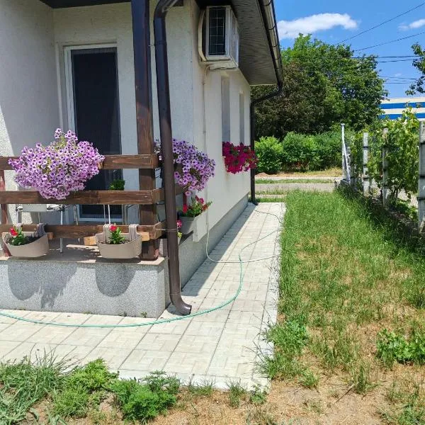 Sveti Luka- OBRADOVIĆ SOKAK 41，位于Šimanovci的酒店