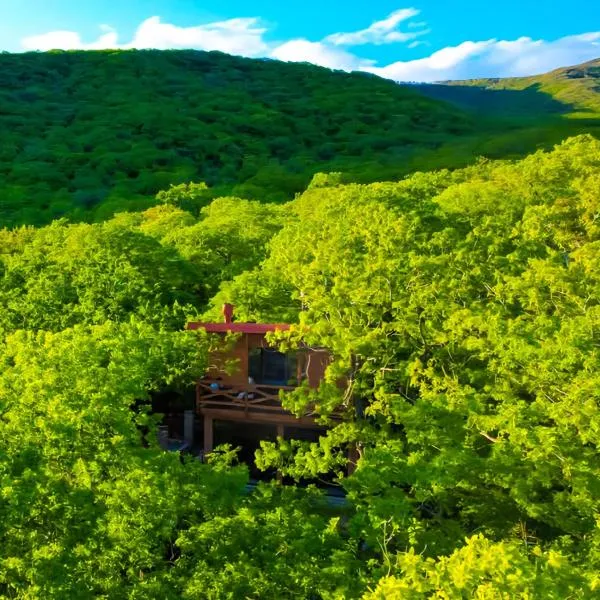 Villa Vejini cabin，位于Mamkoda的酒店