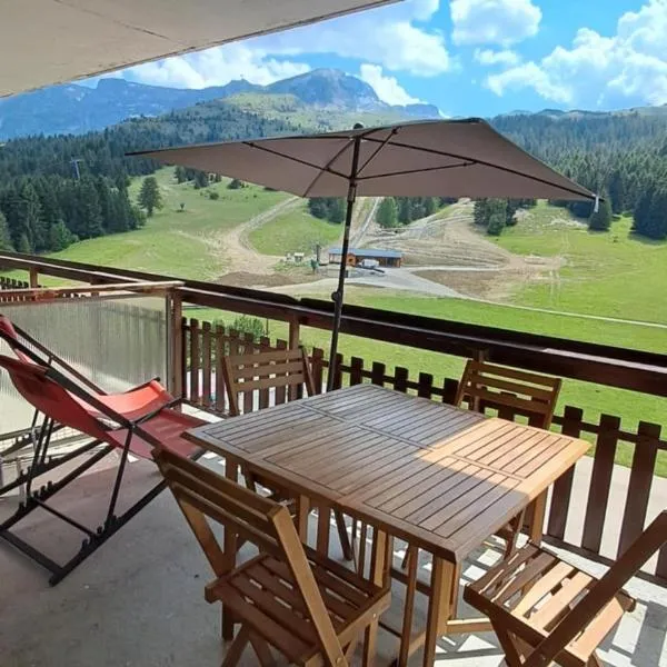 Studio Superdevoluy 4 personnes au pied des pistes，位于Superdevoluy的酒店