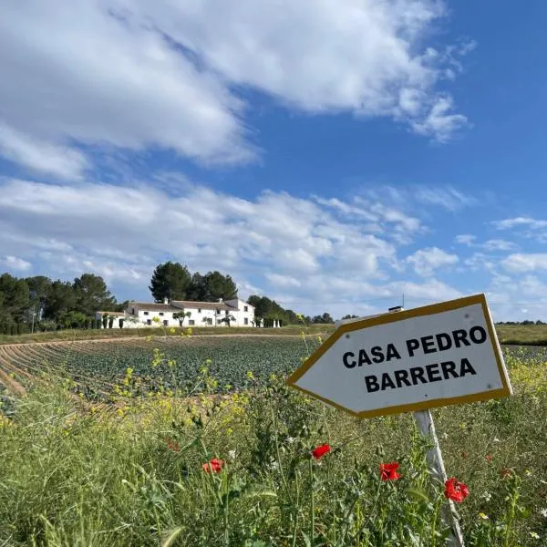 Hotel Casa Pedro Barrera，位于Almudema的酒店