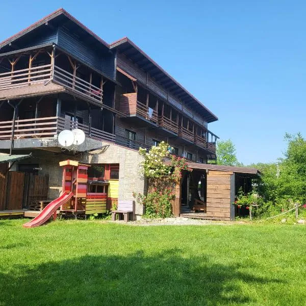 Pensiunea ANA Vistisoara，位于Vistisoara的酒店