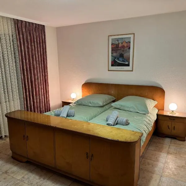 Apartment For Business & Holidays，位于Riegelsberg的酒店
