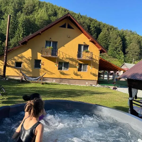 Casa Natalia Raisa Arieșeni，位于阿列谢尼的酒店