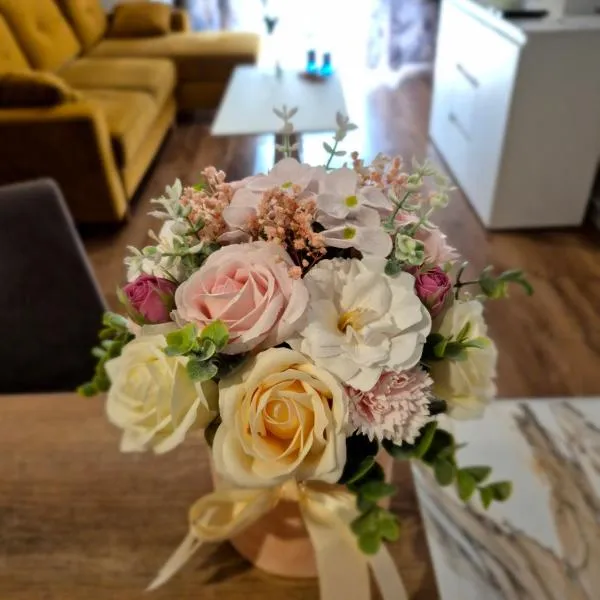 Top Apartament II，位于纳梅斯武夫的酒店