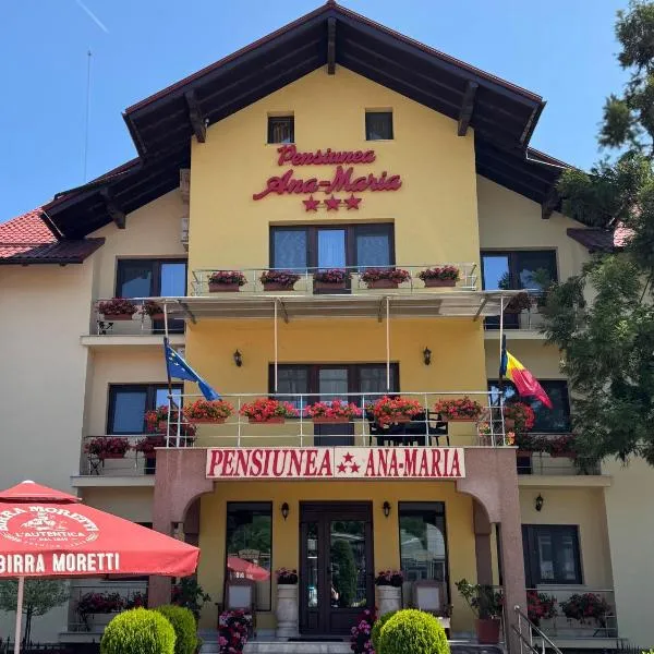 Pensiunea Ana Maria，位于Brad的酒店