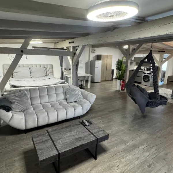 Golden Grey Loft Bahrenfeld Volkspark Hamburg，位于汉堡的酒店