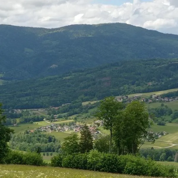 appartement indépendant dans ancien chalet d'alpage，位于Burdignin的酒店