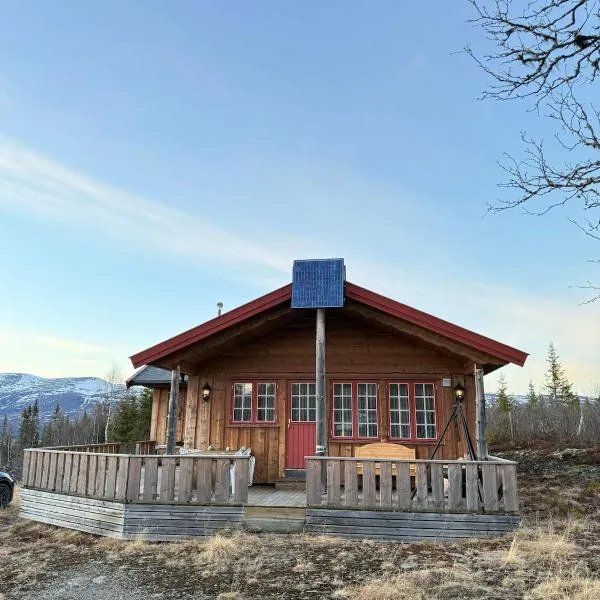 Spacious mountain cabin in Valdres with 3 bedrooms，位于Vevle的酒店