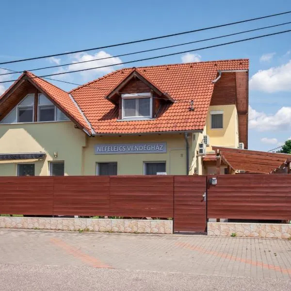 Nefelejcs Vendégház，位于格德勒的酒店