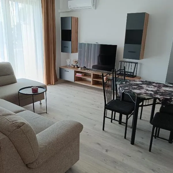 Apartamenty JAGIEŁŁY PARK，位于奥尔什蒂内克的酒店