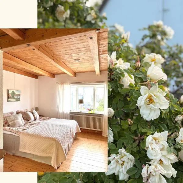 Rävåkra B&B Österlen，位于Hammenhög的酒店