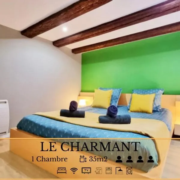 Splendide Appartement Barr - Route du Vins，位于巴尔的酒店